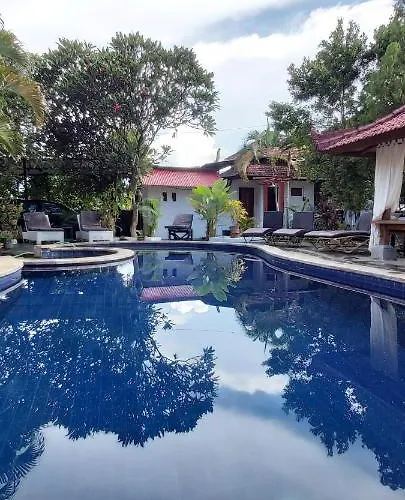 Lovina Vibes 4* Balian