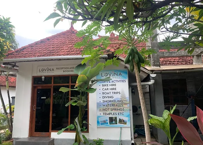 Lovina Vibes ホテル Balian